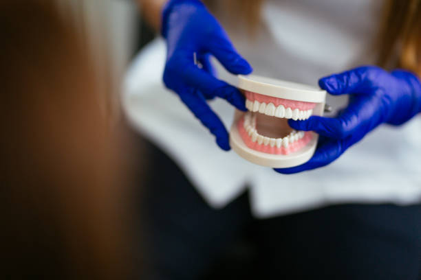 Professional Holistic Dental Care Services in Stevenson, WA